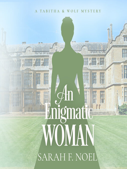 Title details for An Enigmatic Woman by Sarah F. Noel - Wait list